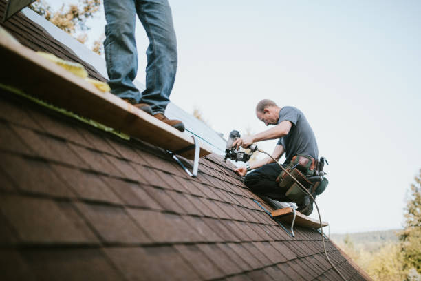 Best Roof Gutter Cleaning  in New Baltimore, OH